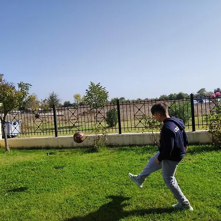 Dreams 5 * Kardítsa