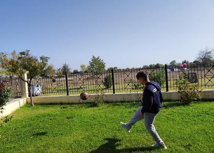 Dreams 5 * Kardítsa